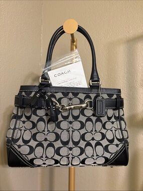 Coach Hamptons Signature C bag